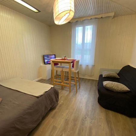 Les Coquelicots Wifi Apartment Troyes Bagian luar foto